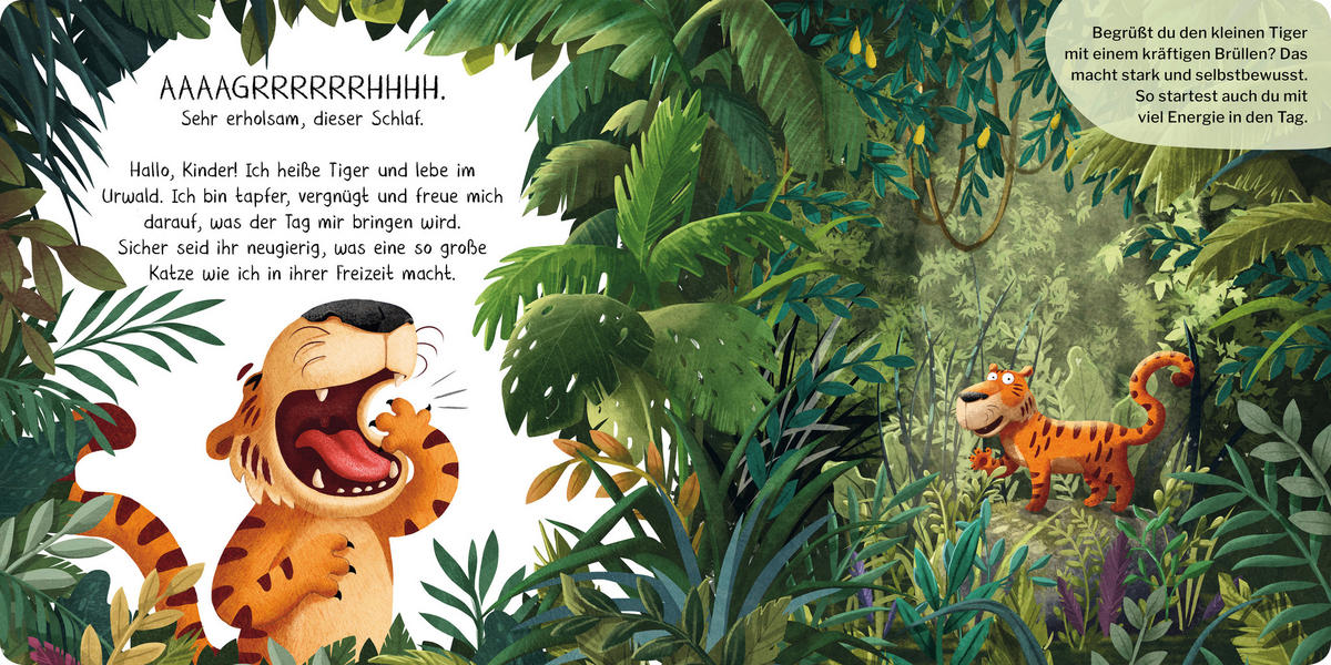 BUCH - Multicolor, Basics, Papier (20/20/2cm) - Carlsen