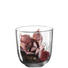 WINDLICHT - Transparent/Rot, Basics, Glas (16cm) - Leonardo WINDLICHT - Transparent/Rot, Basics, Glas (16cm) - Leonardo
