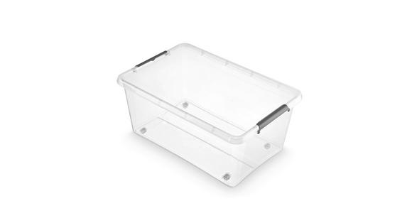 BOX MIT DECKEL    47,5/36/57,5 cm  - Transparent, Basics, Kunststoff (47,5/36/57,5cm) - Homeware