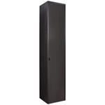 VITRINE  in massiv Asteiche Schwarz, Eichefarben - Eichefarben/Anthrazit, Natur, Glas/Holz (42/206/40cm) - Valnatura