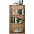 REGAL in 60/115,2/32 cm Eichefarben - Eichefarben/Schwarz, Design, Holzwerkstoff/Kunststoff (60/115,2/32cm) - CARRYHOME