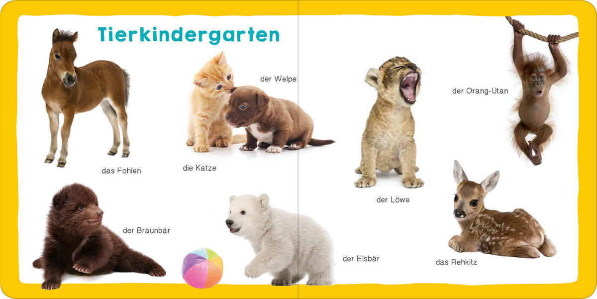 BILDERBUCH - Multicolor, Basics, Karton (16/16cm)