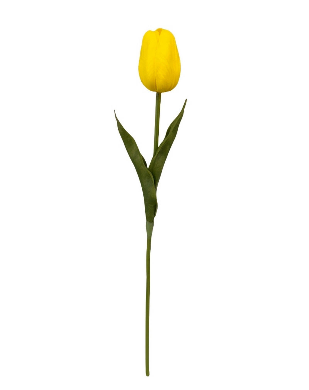 TULIPÁN - krémszínű/sárga, Lifestyle, műanyag (36cm)