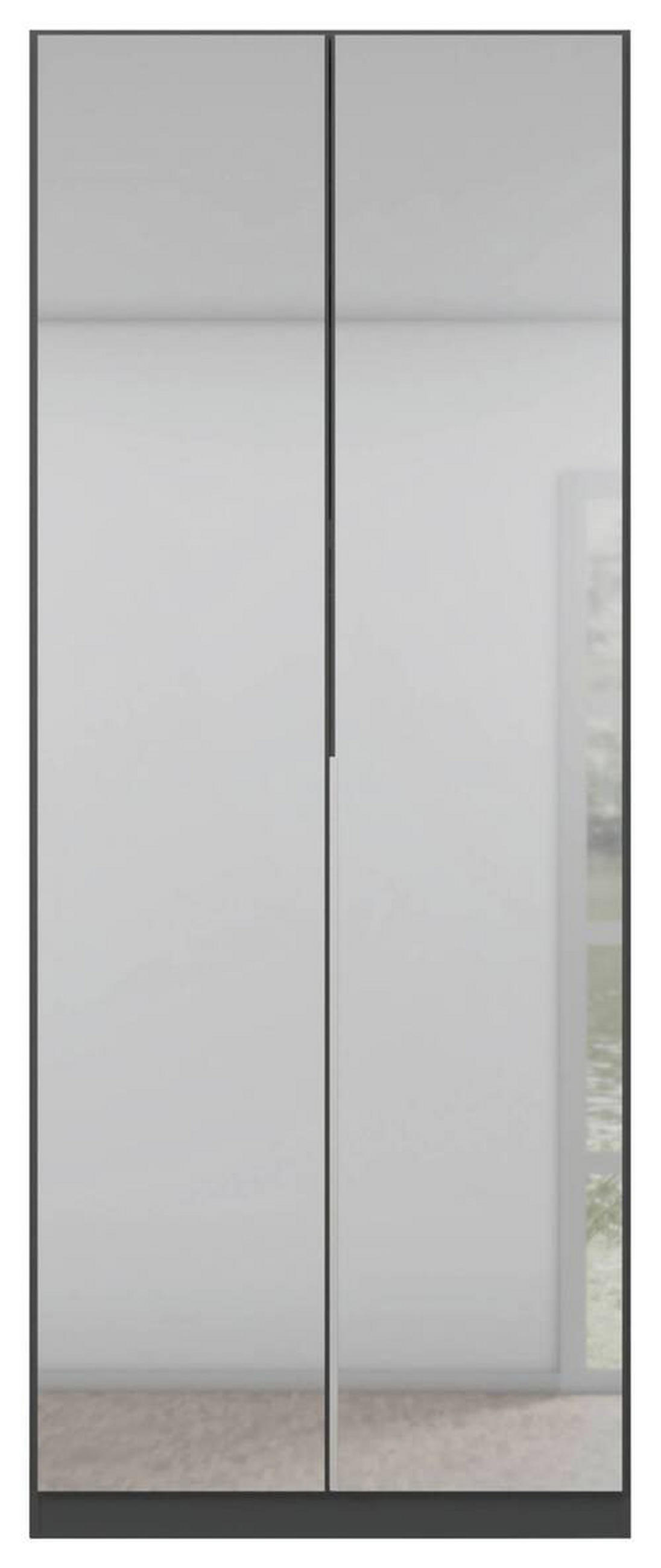 DREHTÜRENSCHRANK 91/229/54 cm 2-türig Grau, Silberfarben  - Silberfarben/Alufarben, MODERN, Holzwerkstoff (91/229/54cm) - Rauch Möbel