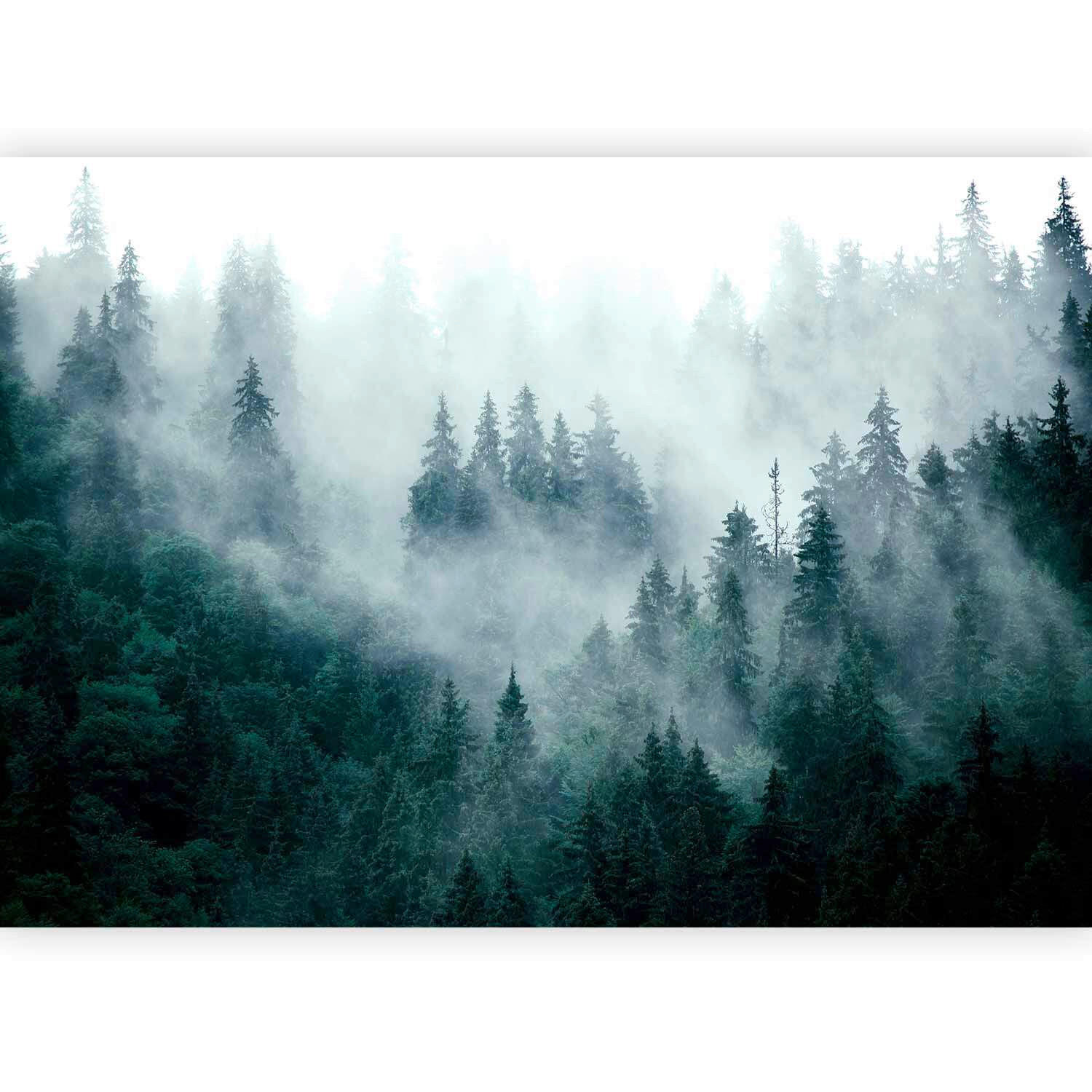 FOTOTAPETE  - Waldgrün/Grau, LIFESTYLE, Textil (400/280cm) - artgeist