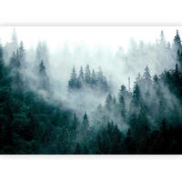FOTOTAPETE  - Waldgrün/Grau, LIFESTYLE, Textil (250/175cm) - artgeist