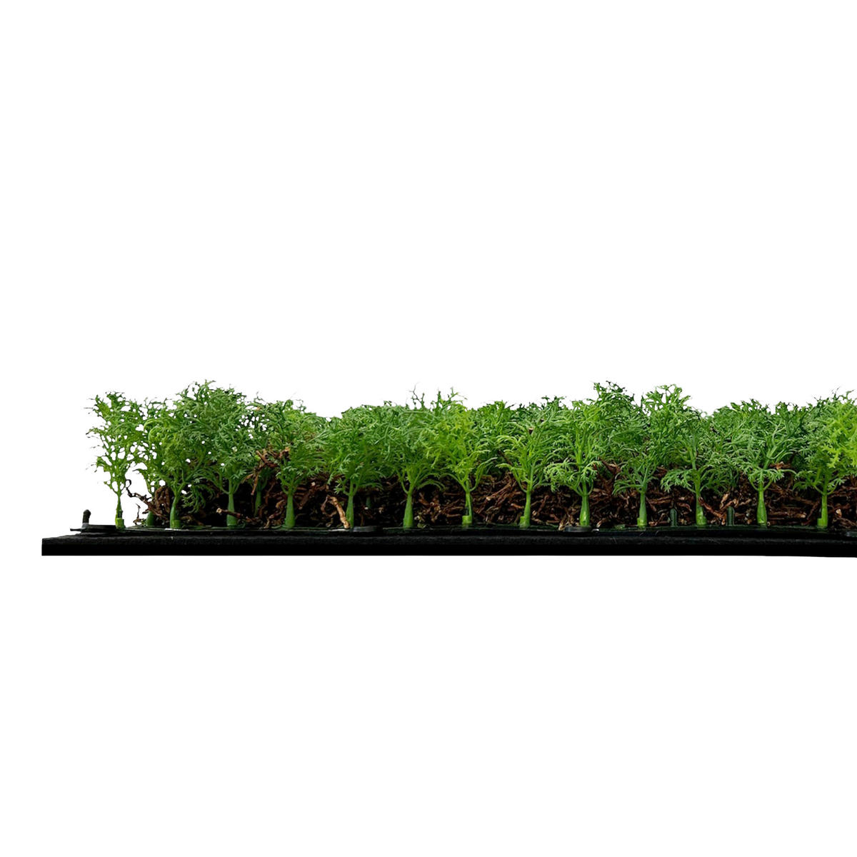 AKUSTIKPANEEL Modular Wall System Nature Design Flora Hellgrün 52/52/6 cm  - Hellgrün, KONVENTIONELL, Kunststoff (52/52/6cm) - Jangal