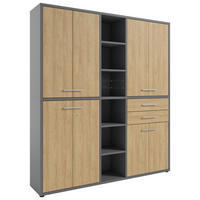 AKTENSCHRANK Eiche Grau, Hickory  - Grau/Hickory, MODERN, Glas/Holz (191,1/215,4/40cm) - Novel