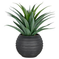 KUNSTPFLANZE Agave  - Schwarz/Grün, Basics, Kunststoff (40/80/40cm) - P & B
