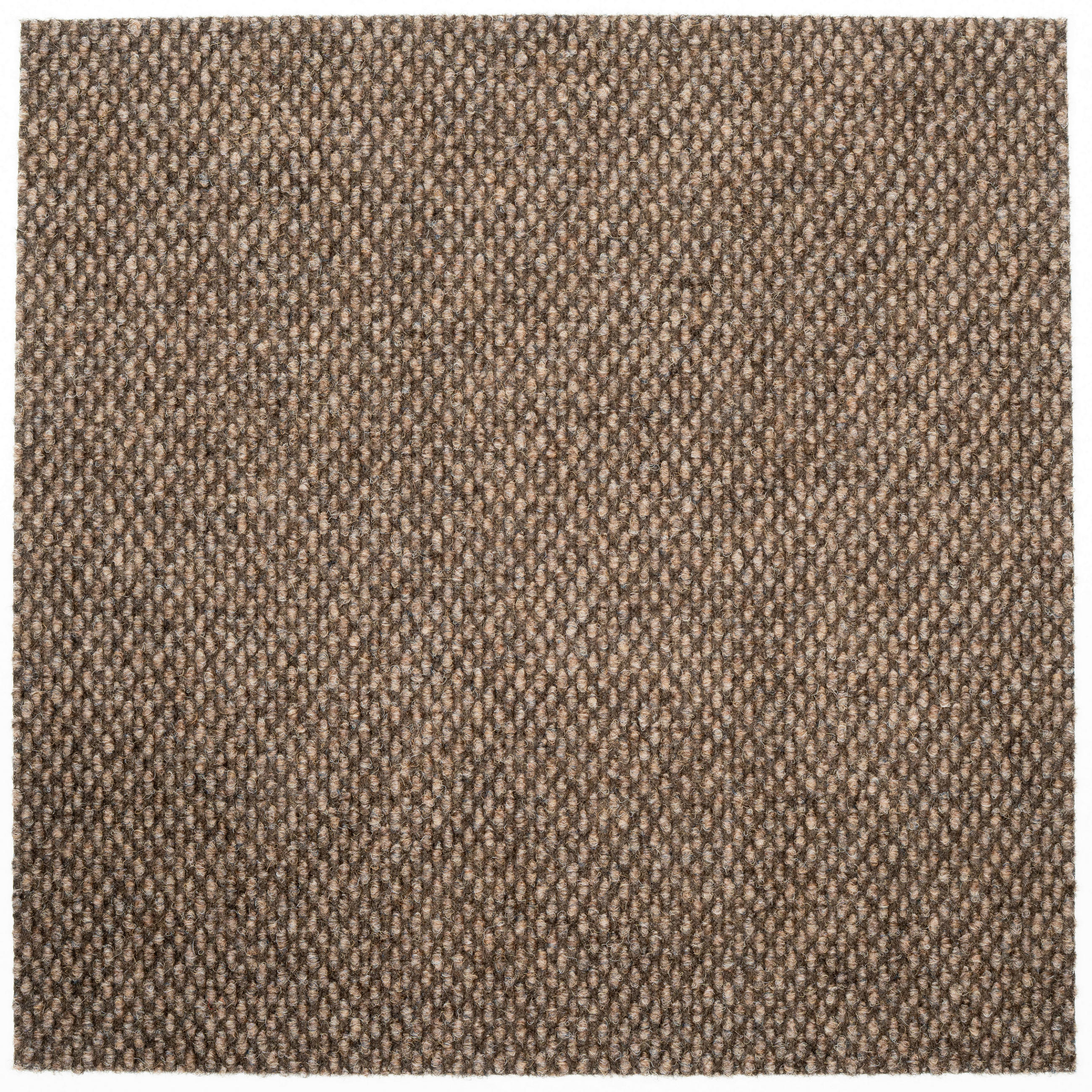 TEPPICHFLIESE 50/50 cm  in Hellbraun  - Hellbraun, Basics, Textil (50/50cm)