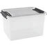 BOX MIT DECKEL 46/36/24 cm - Transparent, Basics, Kunststoff (46/36/24cm) - Plast 1 BOX MIT DECKEL 46/36/24 cm - Transparent, Basics, Kunststoff (46/36/24cm) - Plast 1