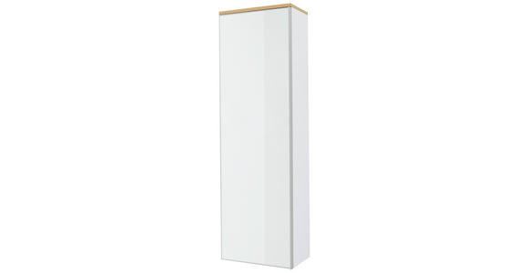 GARDEROBENSCHRANK 54/170/31 cm - Eichefarben/Silberfarben, Design, Glas/Holz (54/170/31cm) - Novel