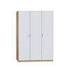 DREHTÜRENSCHRANK 136/197/54 cm 3-türig  - Silberfarben/Weiß, Basics, Holzwerkstoff/Kunststoff (136/197/54cm) - Boxxx
