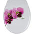 WC-SITZ - Rosa/Weiß, Basics, Kunststoff (37/3,5/46cm) - Sadena WC-SITZ - Rosa/Weiß, Basics, Kunststoff (37/3,5/46cm) - Sadena