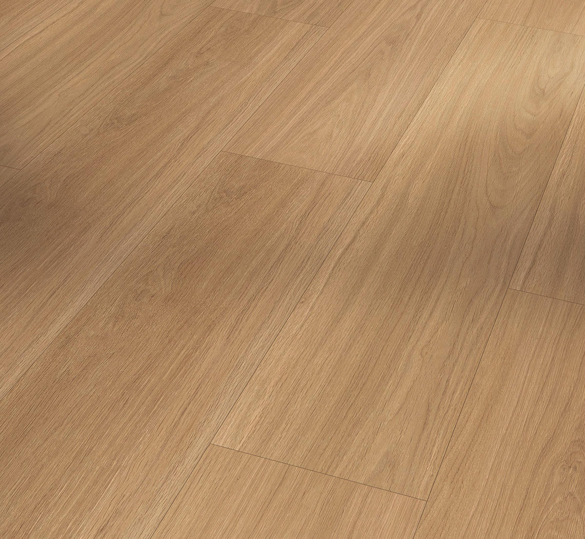 VINYLBODEN Vinyl Basic 5.3  per  m² - Eichefarben, Basics, Kunststoff (120.9/22.5/0.53cm) - Parador