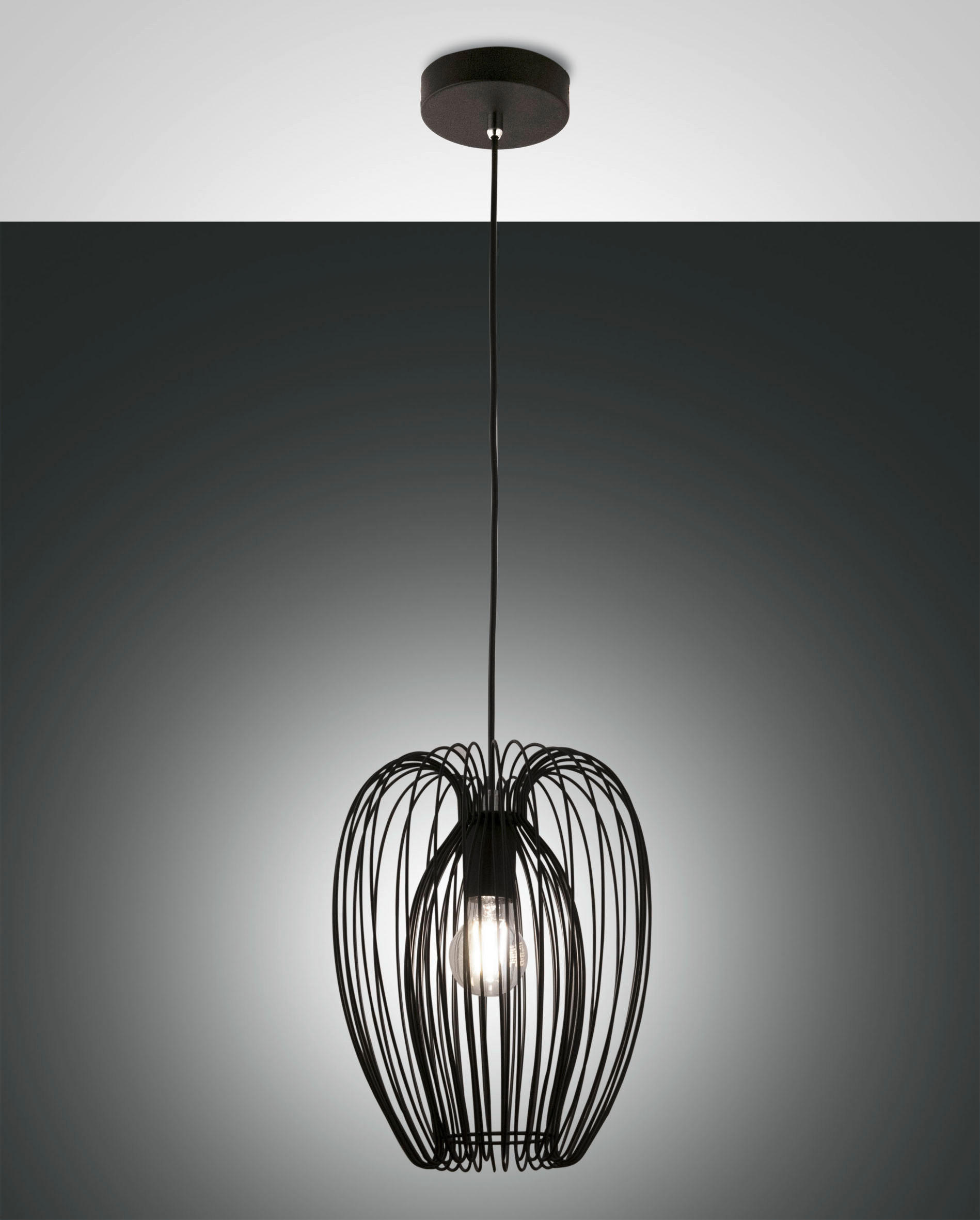 HÄNGELEUCHTE Camp 25/200 cm   - Schwarz, LIFESTYLE, Metall (25/200cm) - Fabas Luce