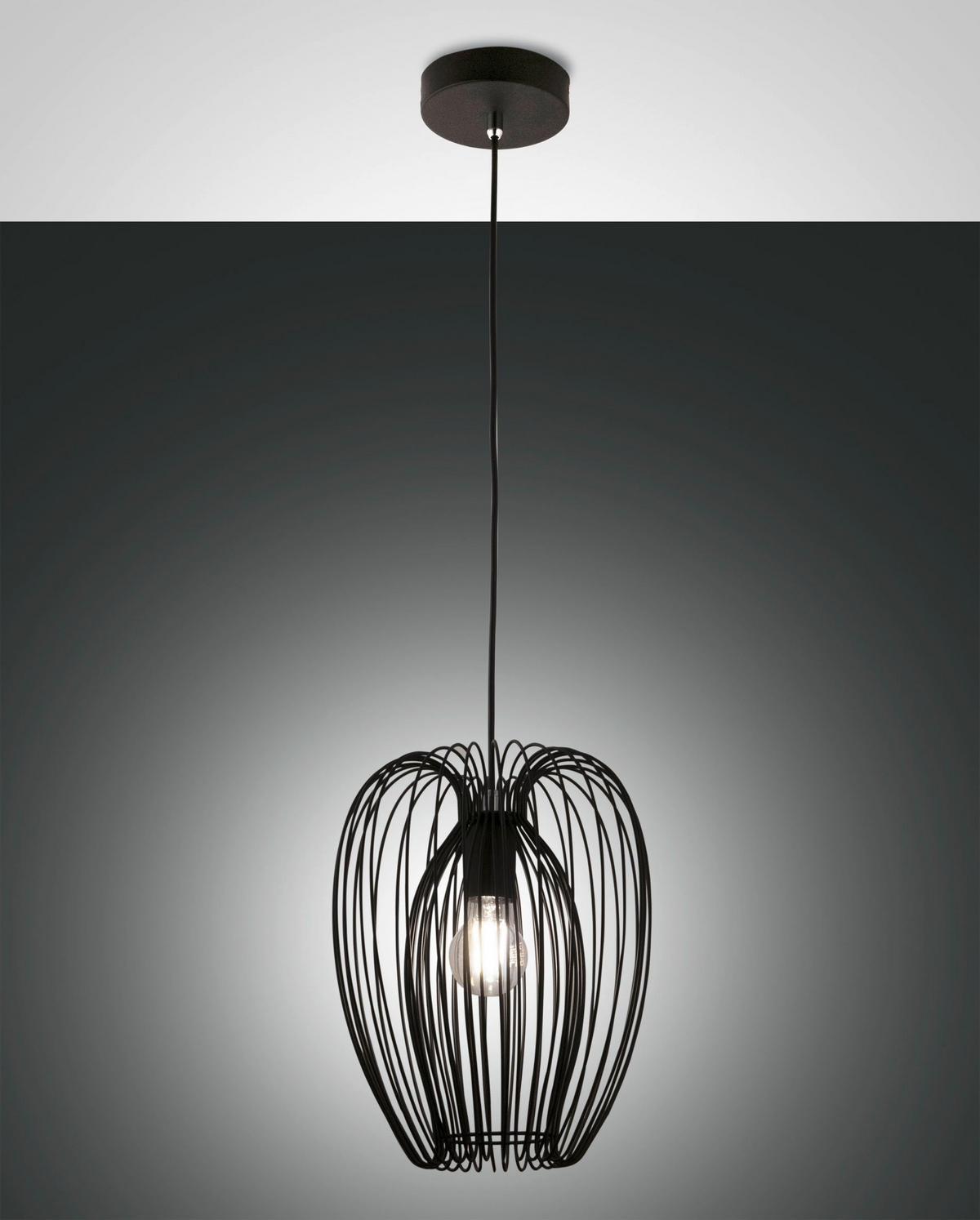 HÄNGELEUCHTE Camp 25/200 cm   - Schwarz, LIFESTYLE, Metall (25/200cm) - Fabas Luce