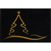 FUßMATTE 40/60 cm Golden Shine  - Goldfarben/Schwarz, KONVENTIONELL, Kunststoff/Textil (40/60cm) - wash+dry