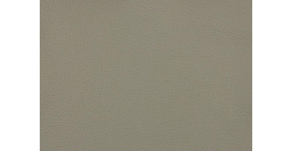 RELAXSESSEL in Leder Hellgrau - Hellgrau/Schwarz, Design, Leder/Metall (75/106/88cm) - Dieter Knoll