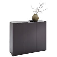 SCHUHSCHRANK Anthrazit  - Edelstahlfarben/Anthrazit, Design, Holzwerkstoff/Kunststoff (120/101/39cm) - Carryhome