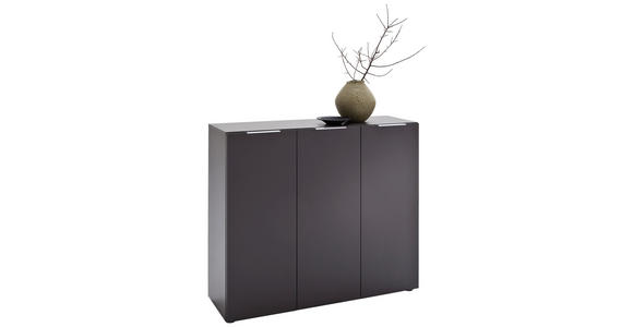 SCHUHSCHRANK in 120/101/39 cm - Edelstahlfarben/Anthrazit, Design, Holzwerkstoff/Kunststoff (120/101/39cm) - Carryhome