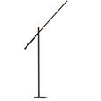 LED-STEHLEUCHTE 27-150/19/162-248 cm    - Schwarz, Design, Metall (27-150/19/162-248cm) - Dieter Knoll