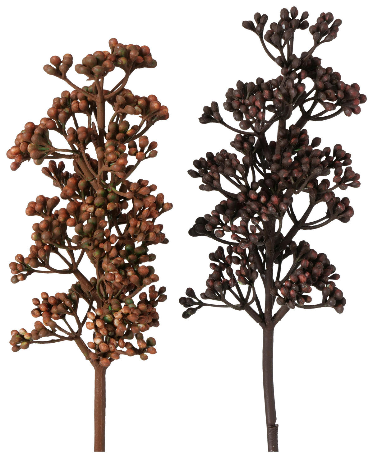 DEKOZWEIG - Hellbraun/Braun, LIFESTYLE, Kunststoff (7/54/8cm)