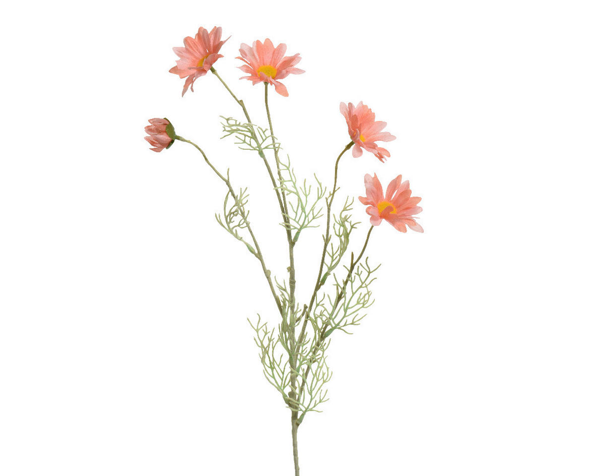 MŰVIRÁG - Lifestyle (19,00/7,00/78,00cm)