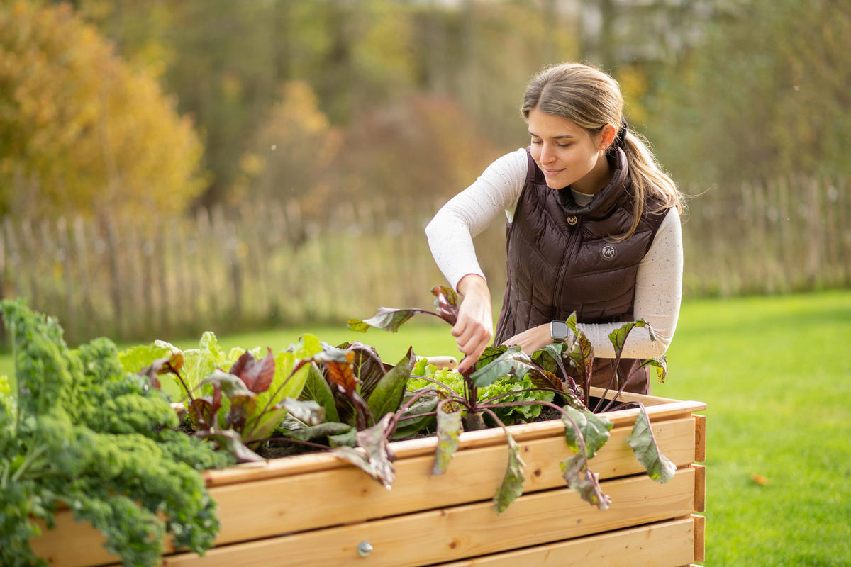 VYVÝŠENÝ ZÁHON   - farba smreka, Basics, drevo (70/90/170cm)