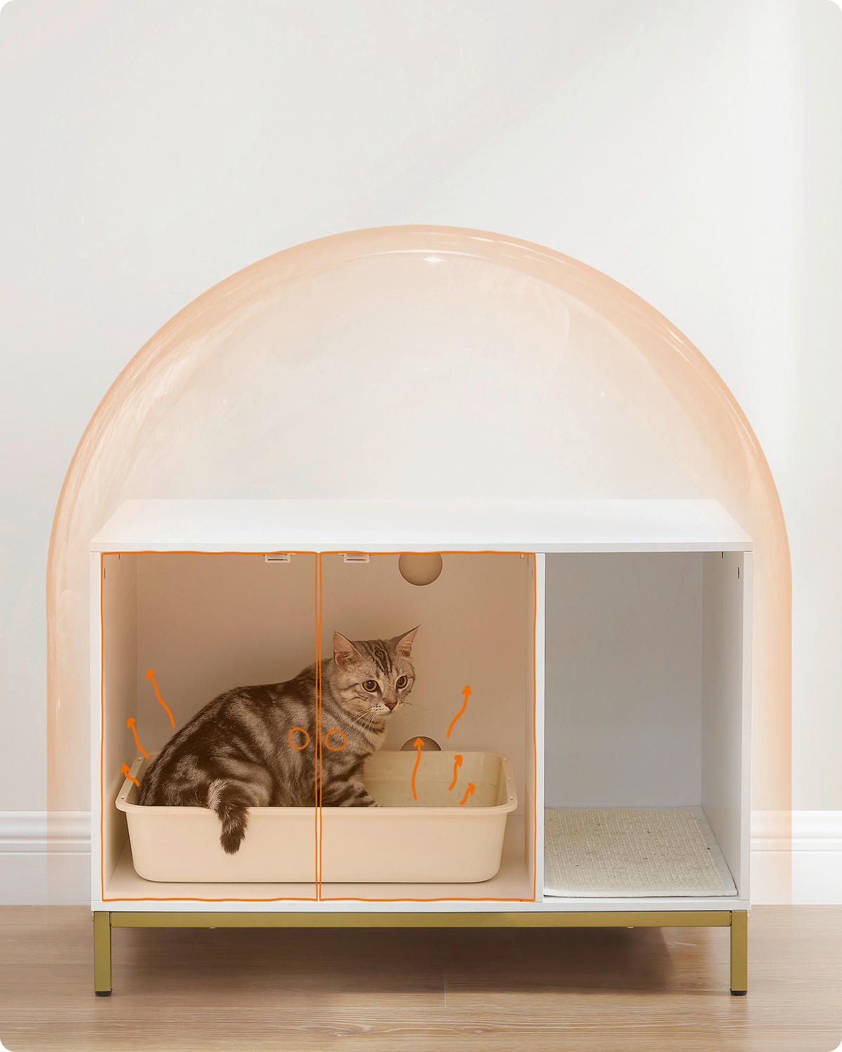KATZENTOILETTE - Goldfarben/Weiß, Trend, Holzwerkstoff/Metall (80/55/50cm) - Boxxx