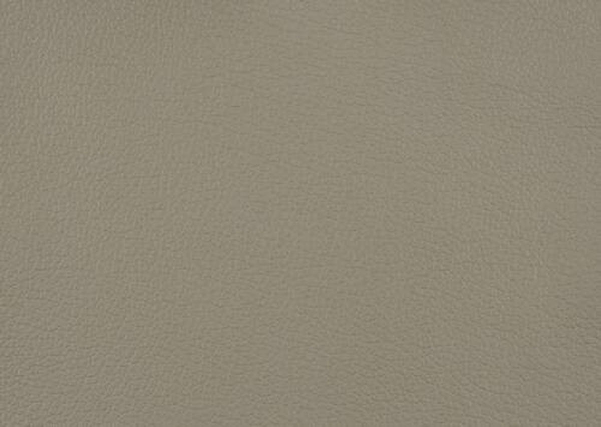 RELAXSESSEL in Leder Hellgrau, Platinfarben  - Platinfarben/Edelstahlfarben, Design, Leder/Metall (75/106/88cm) - Dieter Knoll