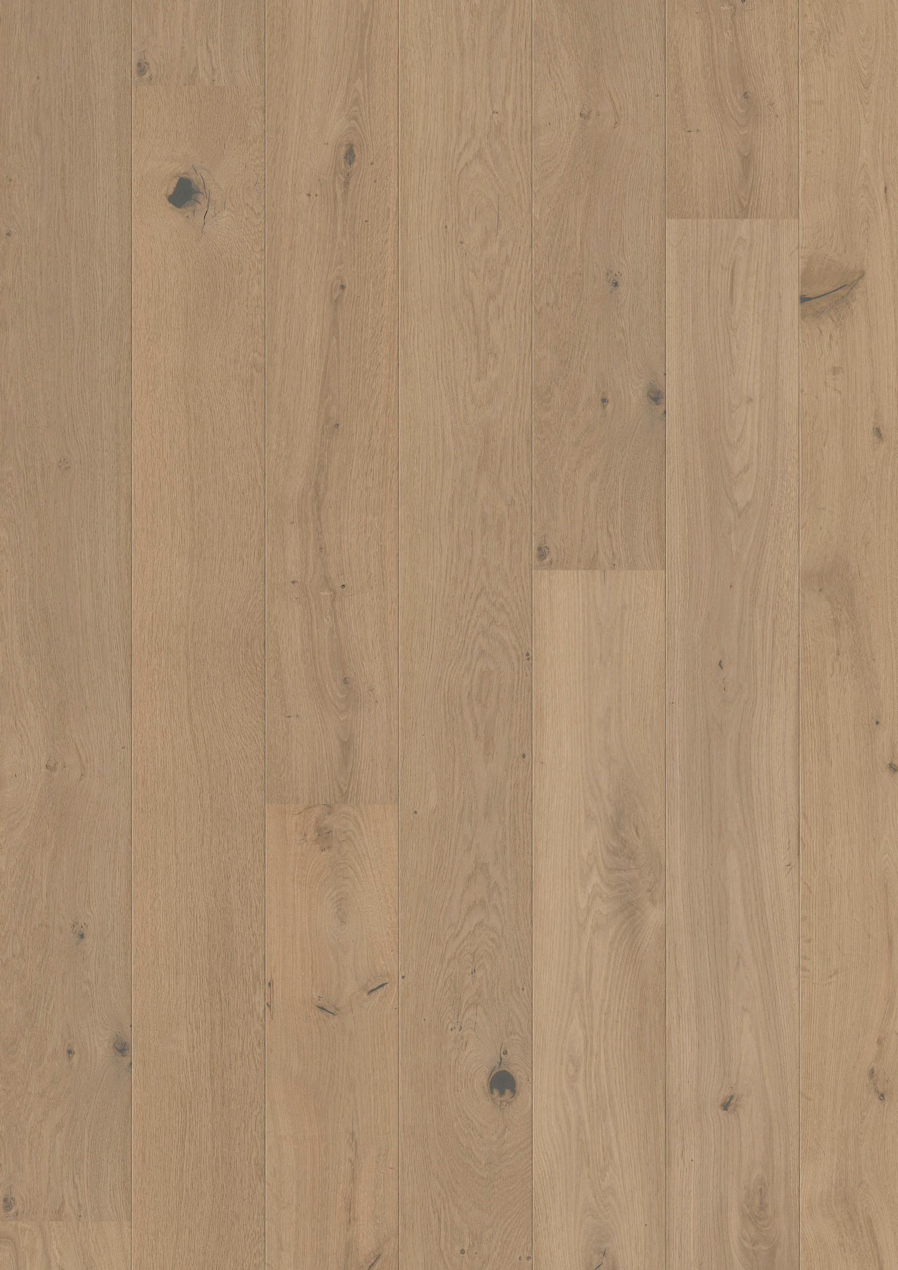 LANDHAUSDIELE MARCANTO TREND Eiche Crema!Pur 100064901  per  m² - Eichefarben, Design, Holz (220,5/17,6/1,3cm) - Tilo
