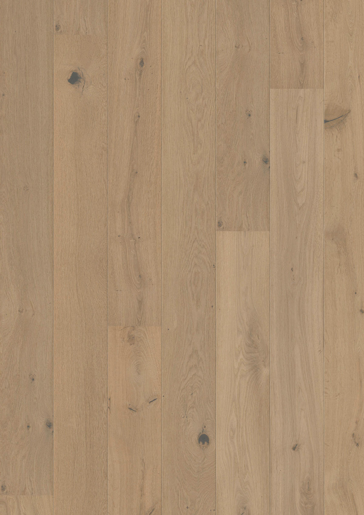 LANDHAUSDIELE MARCANTO TREND Eiche Crema!Pur 100064901  per  m² - Eichefarben, Design, Holz (220,5/17,6/1,3cm) - Tilo