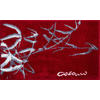 BADTEPPICH Rot 60/100 cm  - Rot, Basics, Kunststoff/Textil (60/100cm) - Grund