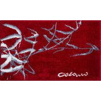 BADTEPPICH Rot 60/100 cm  - Rot, Basics, Kunststoff/Textil (60/100cm) - Grund