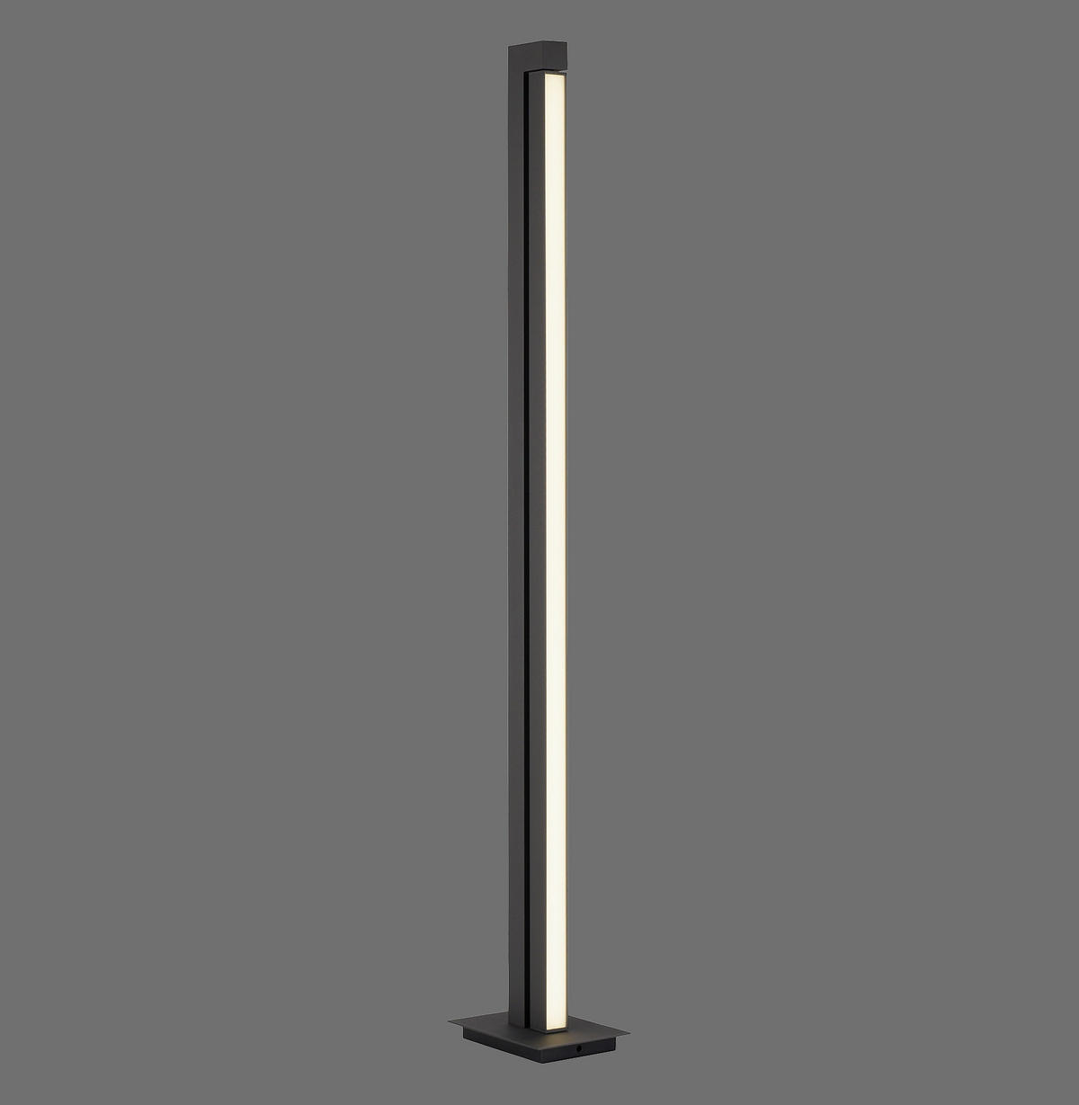 LED-STEHLEUCHTE    - Anthrazit, Design, Kunststoff/Metall (140cm) - Neuhaus PURE