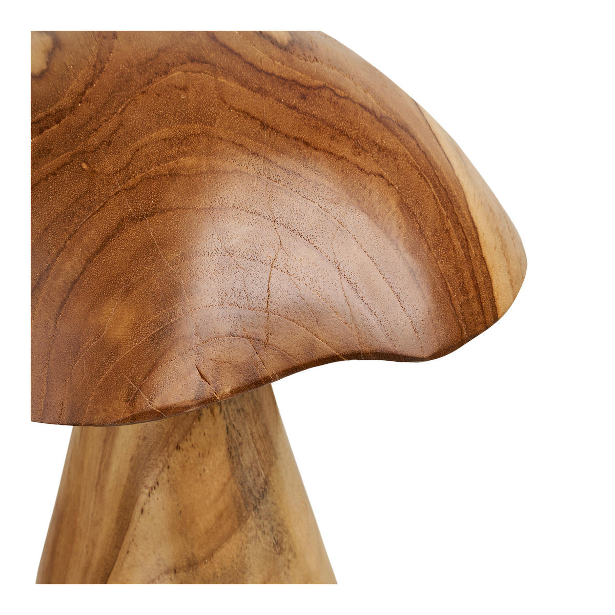 DEKOPILZ - Teakfarben, Basics, Holz