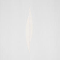 TKANINA ZA ZAVJESE krem   - krem, Basics, tekstil (300cm)