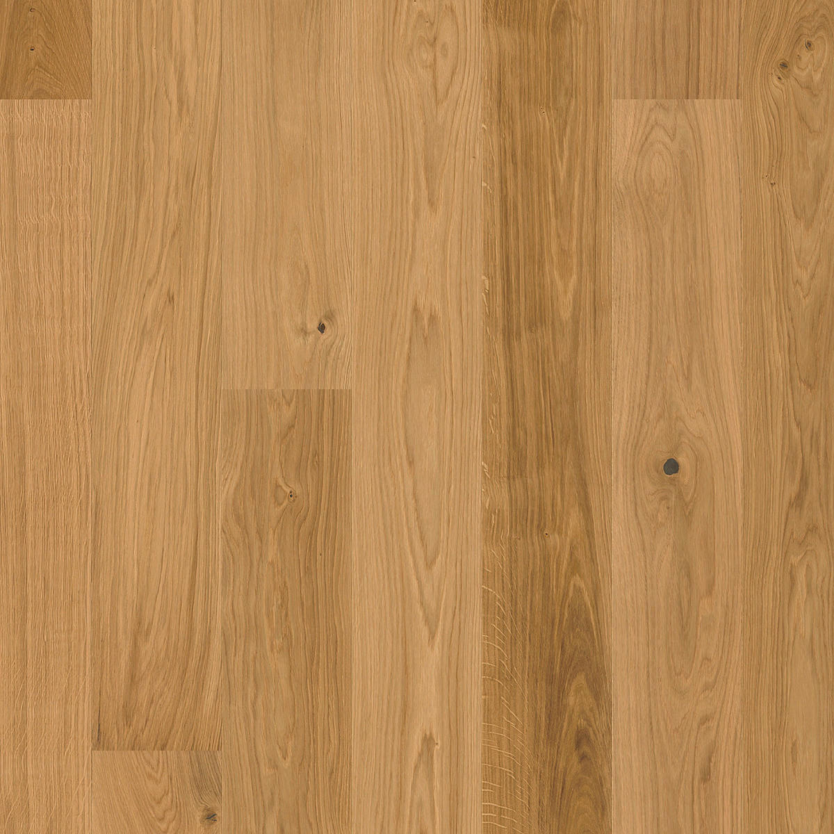LANDHAUSDIELE Puristico Trend Eiche Natur 1000012901  per  m² - Eichefarben, Trend, Holz (220,5/17,6/1,3cm) - Tilo