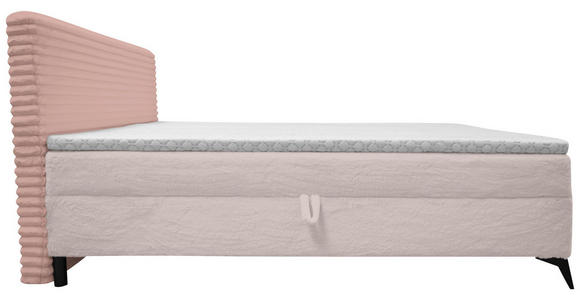 BOXBETT 160/200 cm in Rosa - Schwarz/Rosa, Design, Holz/Holzwerkstoff (160/200cm) - Xora