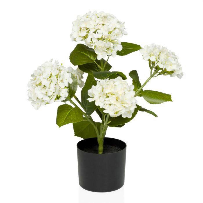 KUNSTPFLANZE Hortensie  - Schwarz/Weiß, MODERN, Kunststoff (30/52/30cm) - MID.YOU
