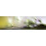 Abstraktes, Landschaft & Natur Acrylglasbild In The Morning - Multicolor, Basics, Kunststoff (50/180cm) - EUROGRAPHICS