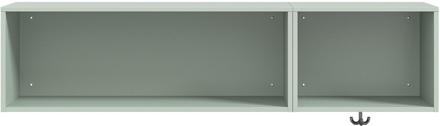 WANDREGAL 150/35,2/40 cm - Salbeigrün, Design, Holzwerkstoff (150/35,2/40cm) - Cantus
