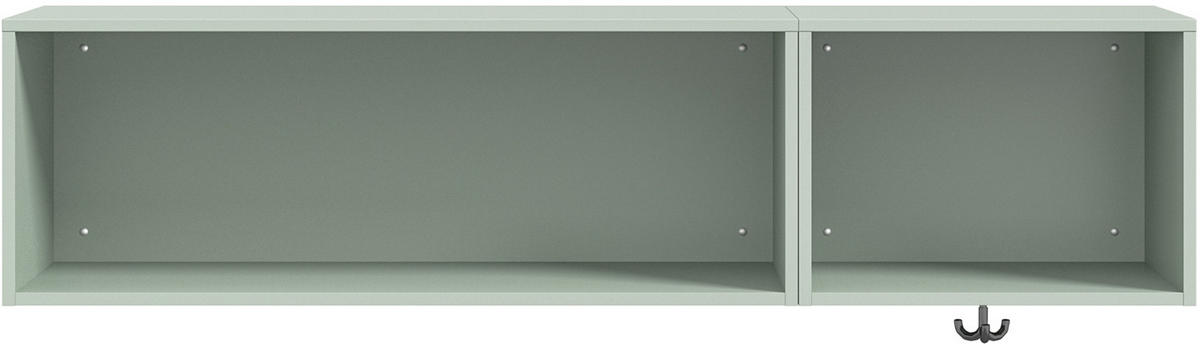 WANDREGAL 150/35,2/40 cm  - Salbeigrün, Design, Holzwerkstoff (150/35,2/40cm) - Cantus
