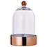 DEKOGLOCKE - Transparent/Kupferfarben, Trend, Glas (18/30cm) DEKOGLOCKE - Transparent/Kupferfarben, Trend, Glas (18/30cm)