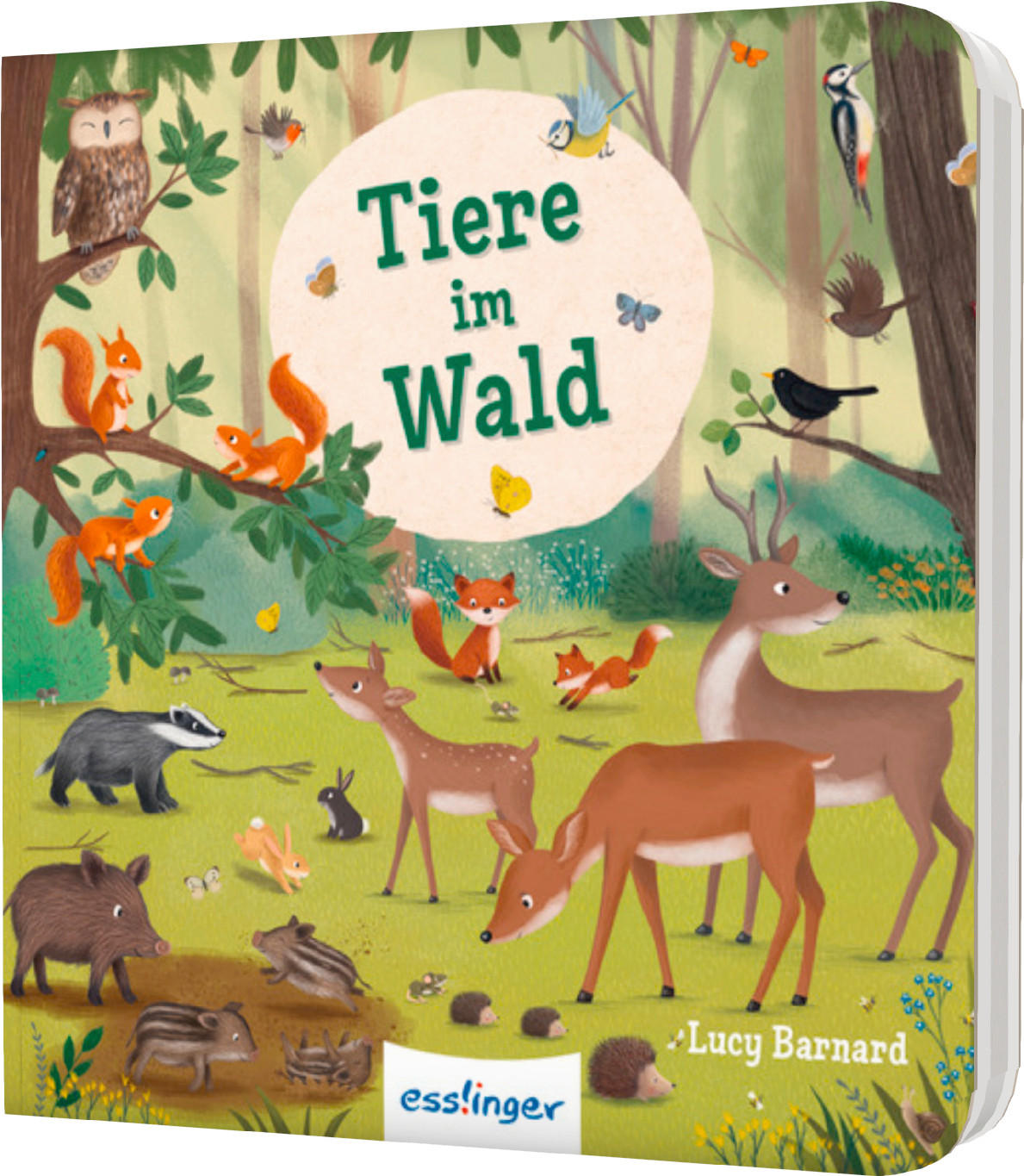 BUCH Natur Wimmelbuch- Tiere im Wald  - Multicolor, Basics, Papier (11,5/11/0,9cm) - Carlsen