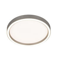 LED-DECKENLEUCHTE 22 W  30,5/5,5 cm    - Alufarben, Basics, Metall (30,5/5,5cm) - Novel