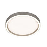 LED-DECKENLEUCHTE 30,5/5,5 cm   - Alufarben, Basics, Metall (30,5/5,5cm) - Novel