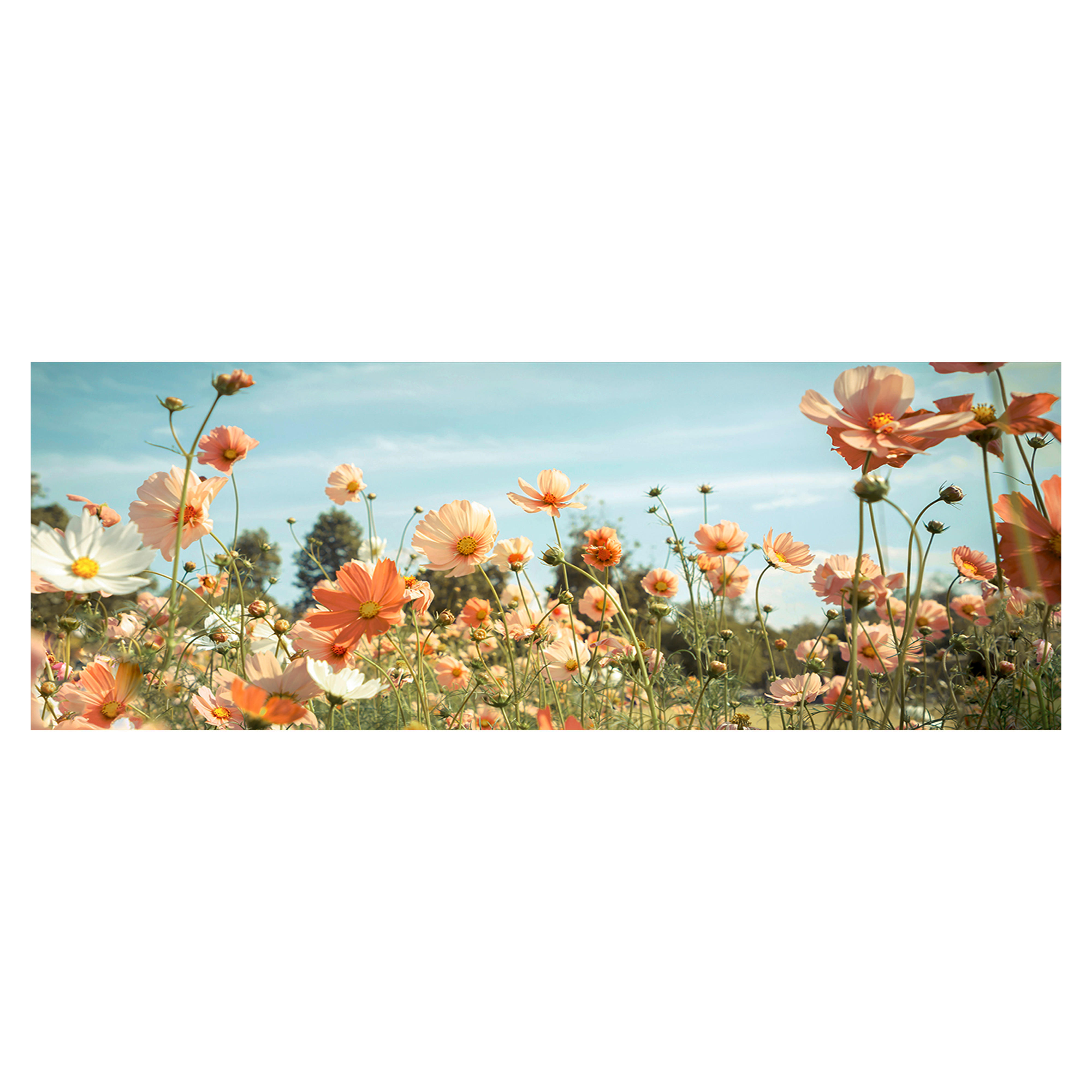 SKLENENÝ OBRAZ, kvety, 125/50 cm  - viacfarebná, Basics, sklo (125/50cm) - Monee