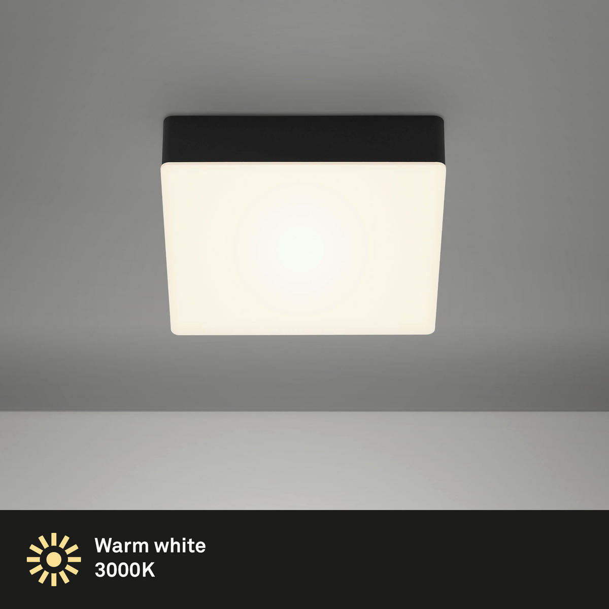 STROPNÍ LED SVÍTIDLO, 15,7/15,7/3,6 cm - černá, Basics, plast (15,7/15,7/3,6cm)